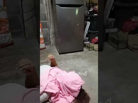 ป่าจะมานอนอะใรตรงนี้ #funny #newमारवाड़ीcomedy #newमारवाड़ीcomedy