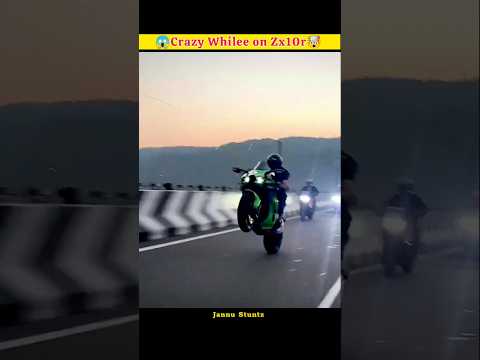 Crazy Whilee on Zx10r 😨😱🤯#shorts #viral #whilee #video  #trending  #jannustuntz #valourrider