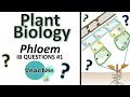 Phloem Function and Structure in Plants