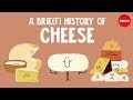The History and Evolution of Cheese