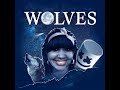 Cupcakke - V*gina (WOLVES REMIX) Obrázok autora