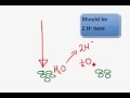 Photosynthesis Processes and Functions