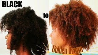 Black To Light Golden Brown How I Dyed My Hair Videos Kansas