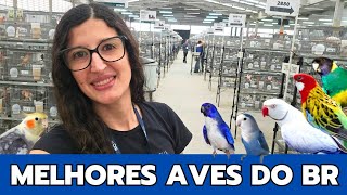 MELHORES AVES DA FOB - EXPOAVES  | CAPEONATO BRASILEIRO
