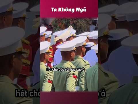 Mấy đứa này hài 😂 #takhongngu