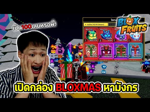 Blox Fruits เปิดกล่อง 100+ [🎁BLOXMAS] หาผลมังกร🐉กับเยติ❄