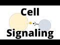 Cell Signaling Mechanisms and Pathways