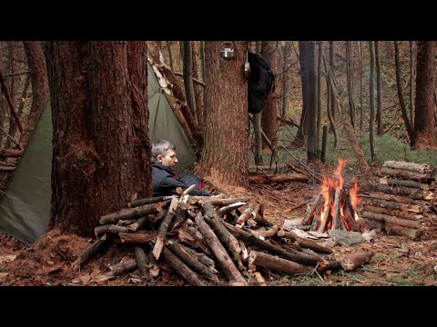 Survival Shelter in the Larch Forest, Campfire Cooking, Sleeping Outdoors.