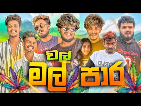 වල් මල් පාර | @naughtyproductions