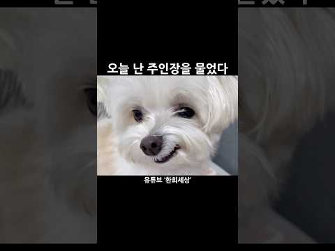 오늘 난 주인장을 물었다