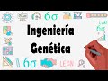 Cuestionario sobre Ingeniería Genética