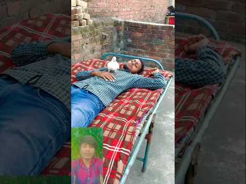 #shortvideos 😭#pigeon #bird 👀😥😓😰🤗#new#vairal#shorts #music #shorts