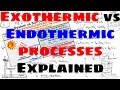Differentiating Endothermic and Exothermic Processes