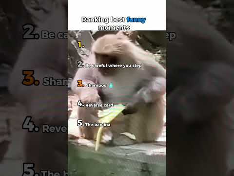 Ranking best funny moments