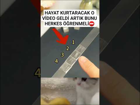✅️Hayat kurtaran bilgi#viralshort #kesfeteyyiz #viralvideo #shortsfeed #shortsvideo #trending #funny
