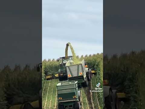 Великий трактор  #farming #agriculture #т25 #fendt #johndeere #newholland #т40 #мтз #юмз6 #юмз