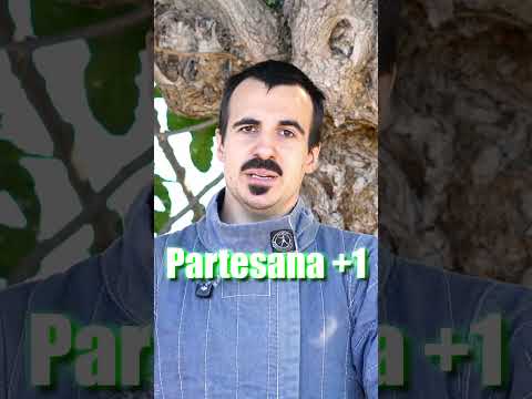 ESPARA LARGA VS PARTESANA ¿Cuál GANA? ⚔️