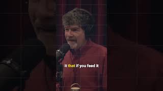 All About AI @joerogan  #ai #ailearning #artificialintelligence #shortvideo #ytshorts #ytviral