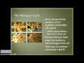 Nutrient Cycling and Ecosystem Interactions