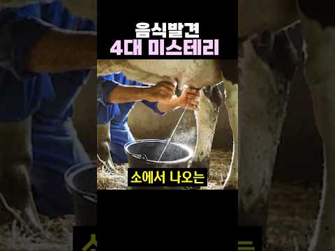 음식발견 4대 미스테리