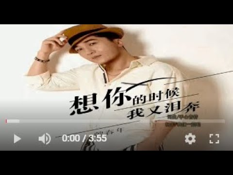 曾春年   想你的时候我又泪奔  KTV