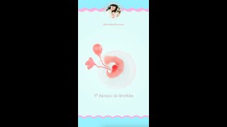 4° Semana de Gravidez 🤰🏻💗 #gravida #gravidez #gestante #gestação #maedeprimeiraviagem