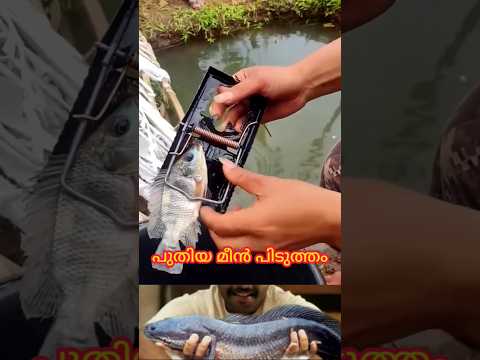 เดชเตเดคเดฟเดฏ เดฎเตเตป เดชเดฟเดเตเดคเตเดคเด #mallutraveler #fishingfreaks #shorts #mallu #malayalam #m4tech