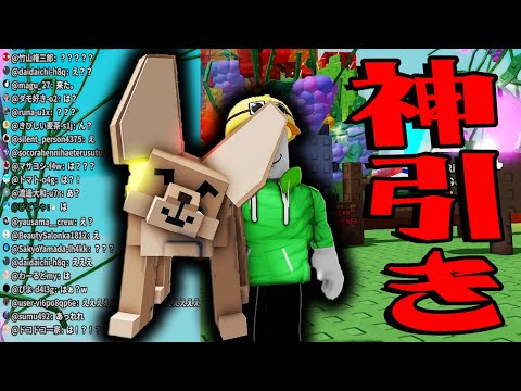 1回目で0.5%を当てた世界初の瞬間...【Grow a Garden】