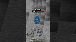Testing INSANE ILLAGER Myths In Minecraft 😳 #minecraft #shorts
