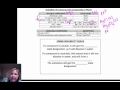 Double Replacement Reactions and Solubility