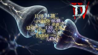 Is More Damage Always Better? Diablo 4