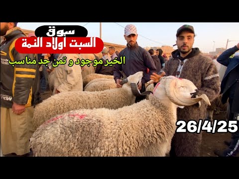 مباشرة من سوق السبت أولاد النمة 26/4/25 مع تمن حولي و حولية و النعجة 🐑🐑🇲🇦