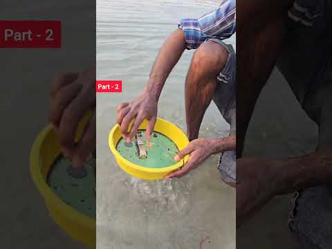 बालू छान के लाखों रुपए कमाते हैं part- 2 #shortvideo #youtubeshorts #shortsbeta #haridward #river
