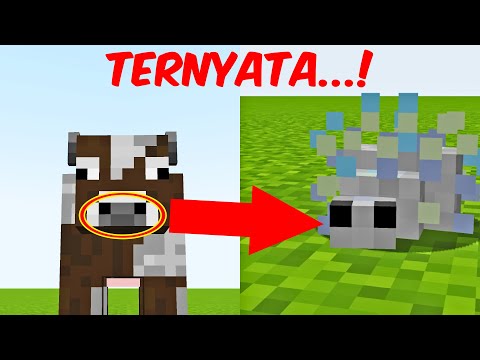 Hal Gila di Minecraft yang TIDAK BISA KALIAN LUPAKAN!