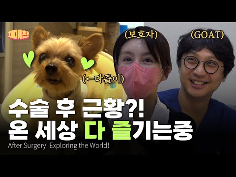 다리 절단을 고민했던 강아지, 수술 후 이렇게 지내고 있어요 This Dog Almost Lost Her Leg, Look at Her Now After Surgery