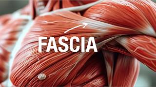 What is Fascia? - Coach Chong Xie