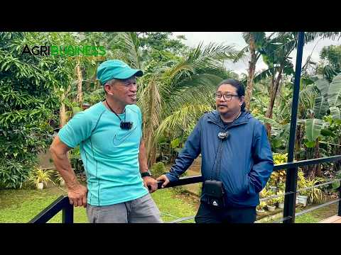 Magkano Kinikita ng Masipag na Katiwala sa Farm? Kapag Masipag Hindi Makakaisip ng Masama!