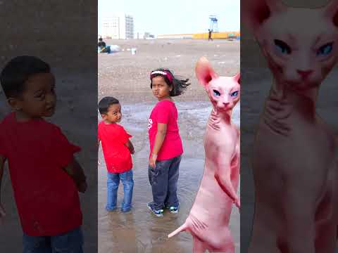 Anam Arhaan Dancing with Angry cat 😱😂 #shorts #funnyshorts #funnyvideo
