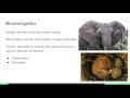 Animal Physiology and Adaptations