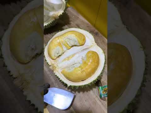 DURIAN DURI HITAM HARGA 1,7 JUTA #durian #duriandurihitam #masduren