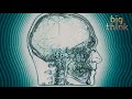 Understanding Predictions and Brain Interaction