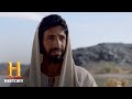 Peter's Restoration and Leadership