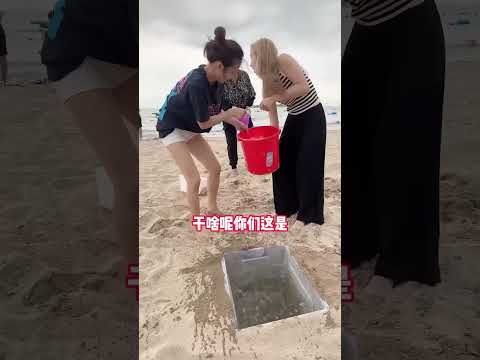 联合双胞胎美女给妹妹在海边制作一个水箱陷阱#funny #搞笑 #整蛊 #comedy
