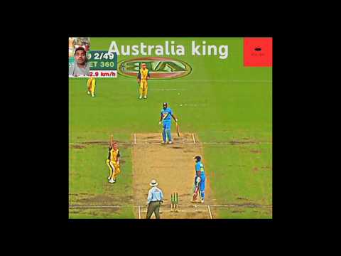 Australia π¦π¦π¦π¦ #viralvideo #youtubeshorts #cricket #cricketequipment