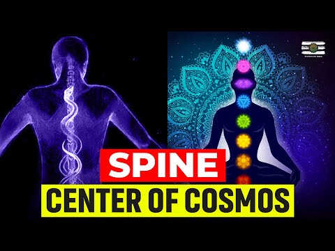 Why Spine is Important in Your Spiritual Growth