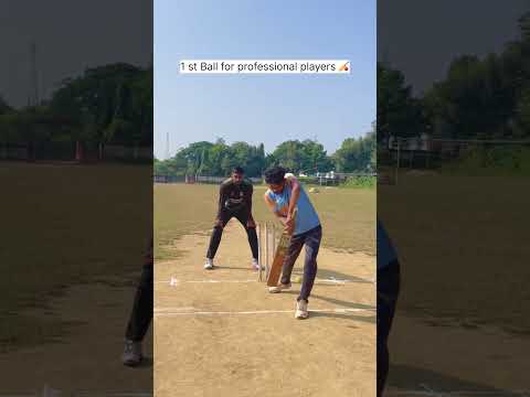 Professional players vs gully players 😂🏏❤️ #ytshortsvideo #funnyvideo #comedy #comedyvideos