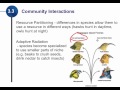 Ecological Concepts and Species Interactions