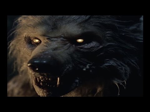 MEU PAI M4T0U O LOBISOMEM QUE ME ATACOU (SUPER RELATO)