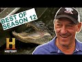 Alligator Hunting Challenges and Techniques
