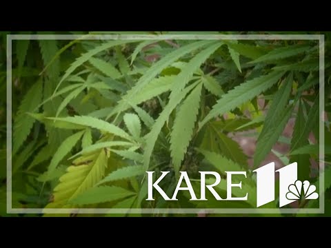 YouTube video thumbnail: Minnesota's THC Hemp Regulations Could Be a National Model as Ban Is Looming